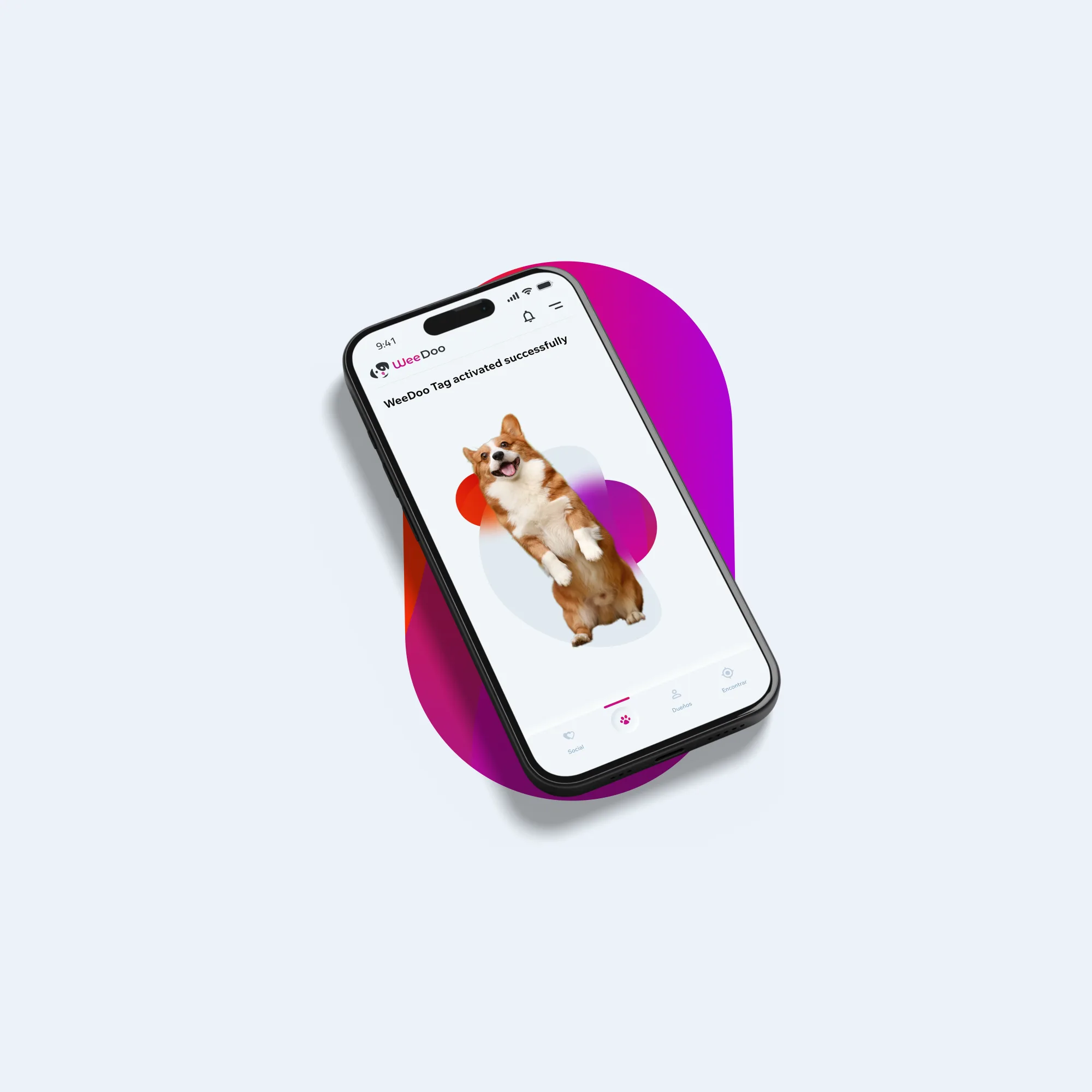 WeeDoo case study: phone with a pet profile next to a corgi