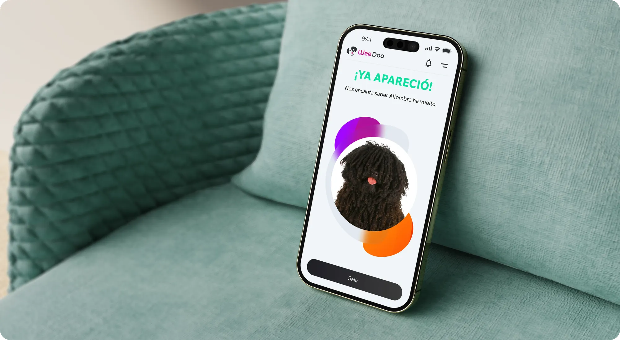 Phone on a green armchair showing the alert: ¡Ya apareció!, your pet has been found