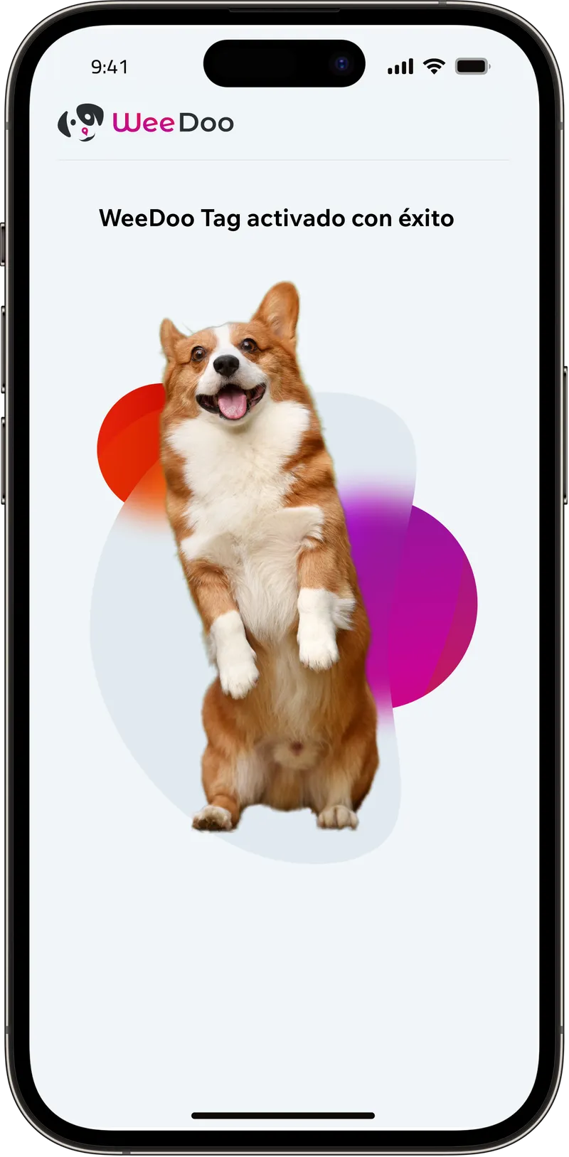 WeeDoo Tag activated successfully screen with a happy corgi
